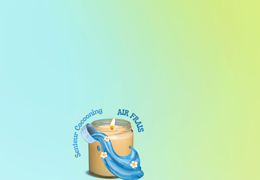 Fondants Parfumés - Senteur Ambiance Cocooning