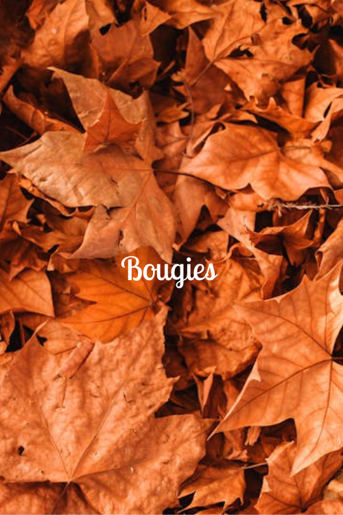 Bougies