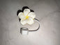 Embouts de Paille Fleur