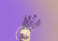 Fondants Parfumés - Senteurs Florales & Boisées