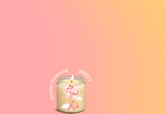Fondants Parfumés - Senteur Ambiance Cocooning